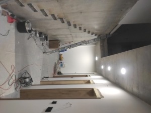 Concrete staircase. Cantilevered stairs made of concrete from Švec concrete